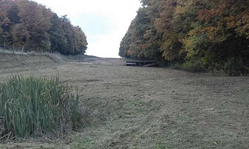 Immobilie mieten in Hollabrunn – 14 200 m², € 650 – Bild 8 von 18