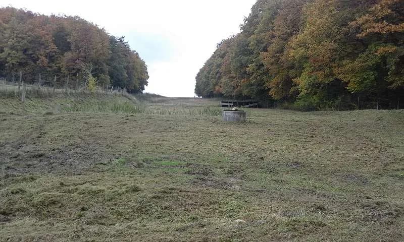 Immobilie mieten in Hollabrunn – 14 200 m², € 650 – Bild 9 von 18