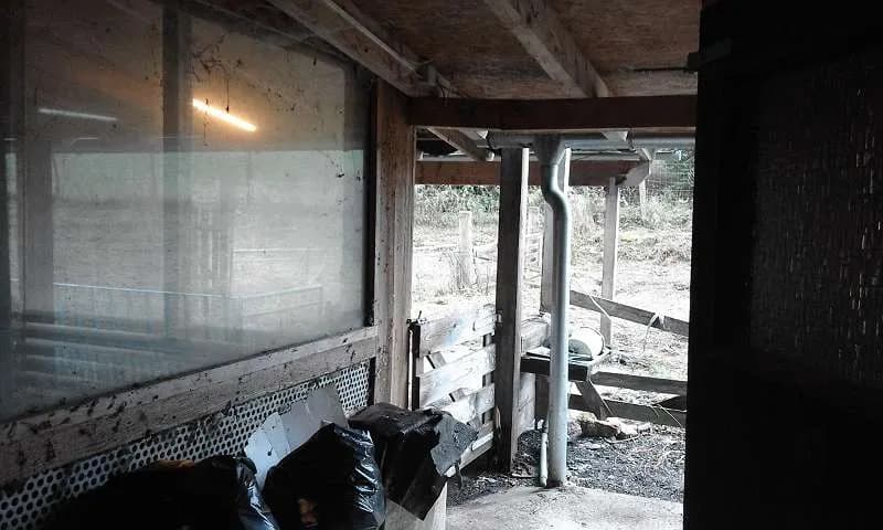 Immobilie mieten in Hollabrunn – 14 200 m², € 650 – Bild 13 von 18