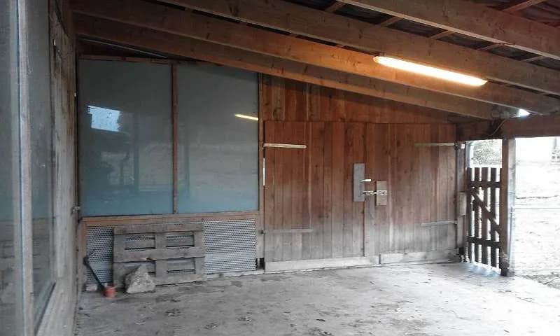 Immobilie mieten in Hollabrunn – 14 200 m², € 650 – Bild 14 von 18