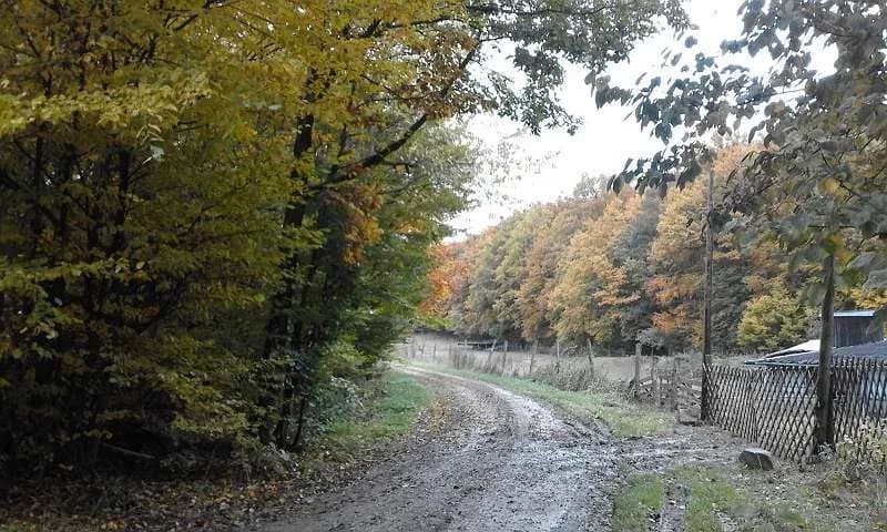 Immobilie mieten in Hollabrunn – 14 200 m², € 650 – Bild 17 von 18