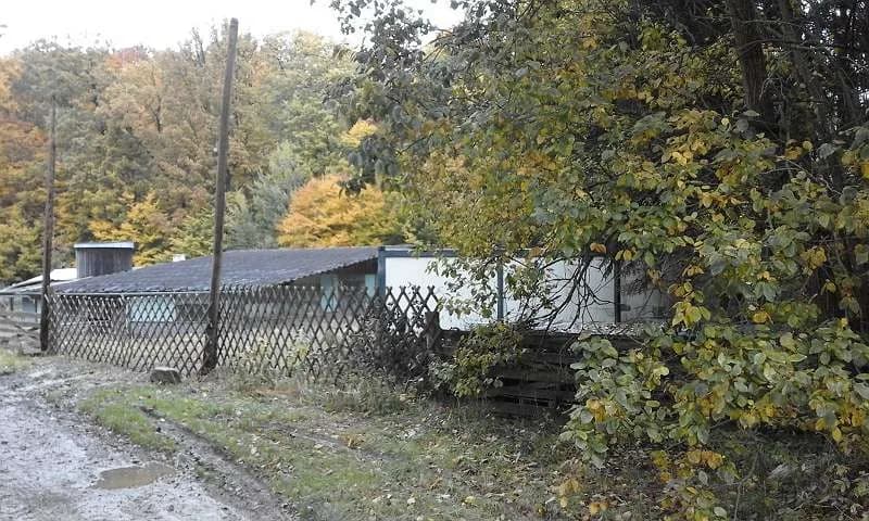 Immobilie mieten in Hollabrunn – 14 200 m², € 650 – Bild 18 von 18