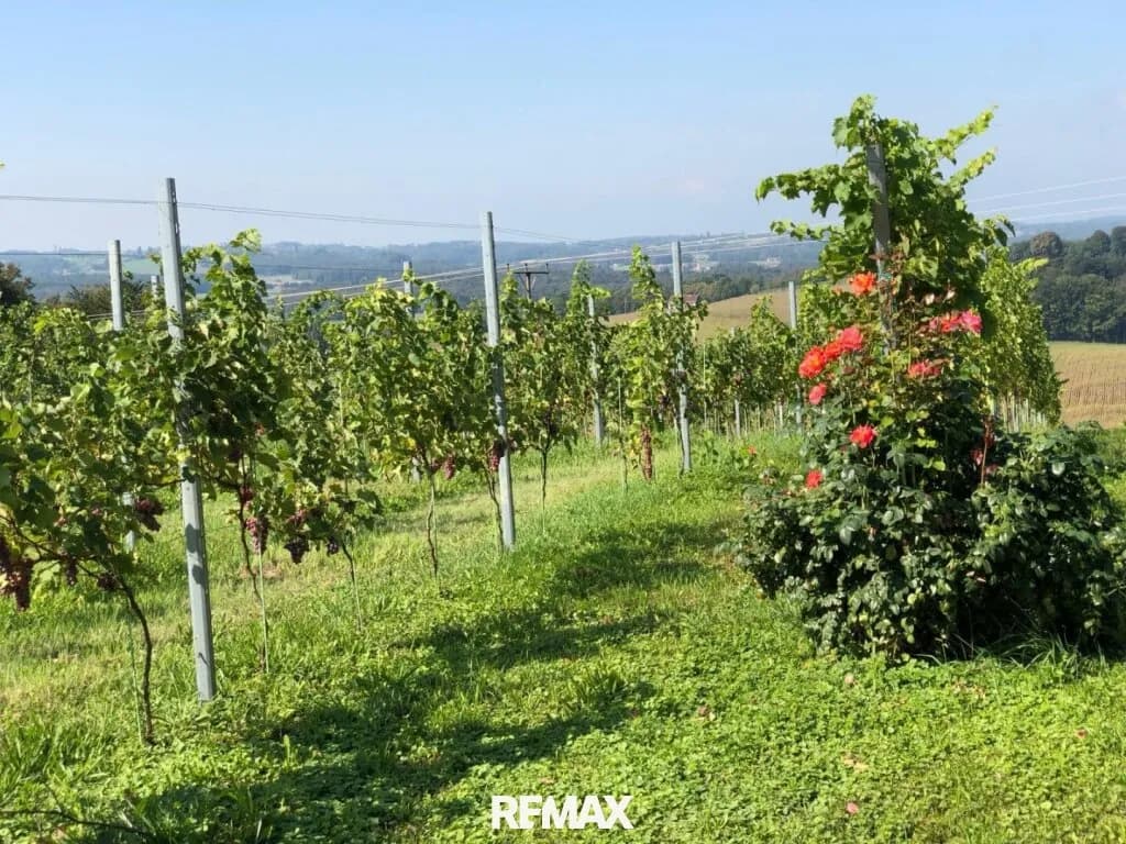 3-Zimmer-Immobilie kaufen in Südoststeiermark – 51,8 m², € 129.000 – Bild 39 von 42