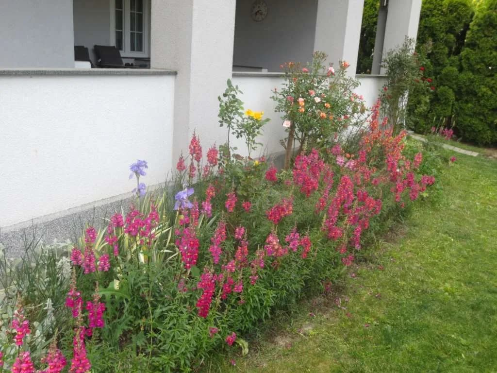 5-Zimmer-Haus kaufen in Wien – 175 m², € 849.000 – Bild 17 von 19