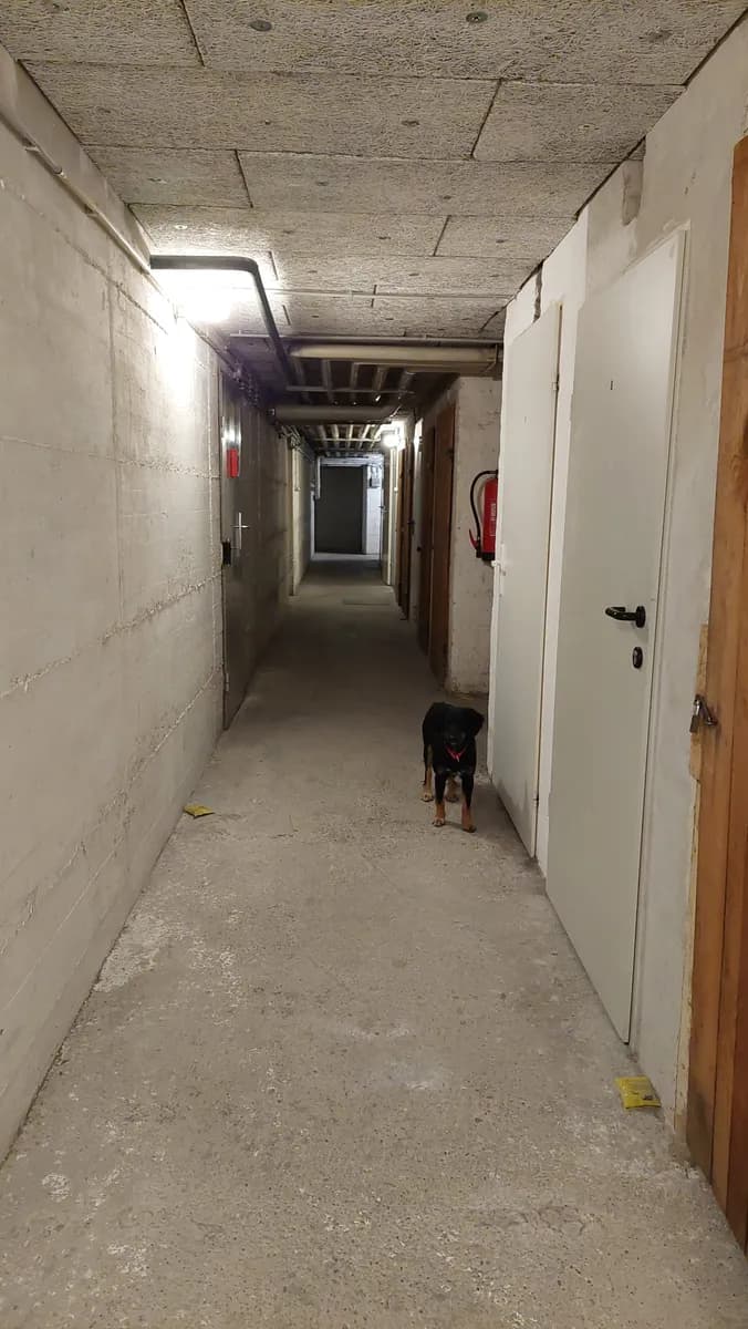 1-Zimmer-Wohnung mieten in Wien – 37 m², € 910 – Bild 14 von 16
