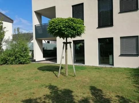 4-Zimmer-Wohnung mieten in Wels-Land – 90 m², € 1.900 – Bild 19 von 23