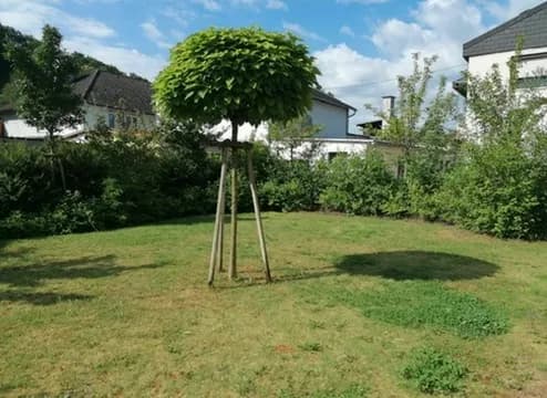 4-Zimmer-Wohnung mieten in Wels-Land – 90 m², € 1.900 – Bild 20 von 23