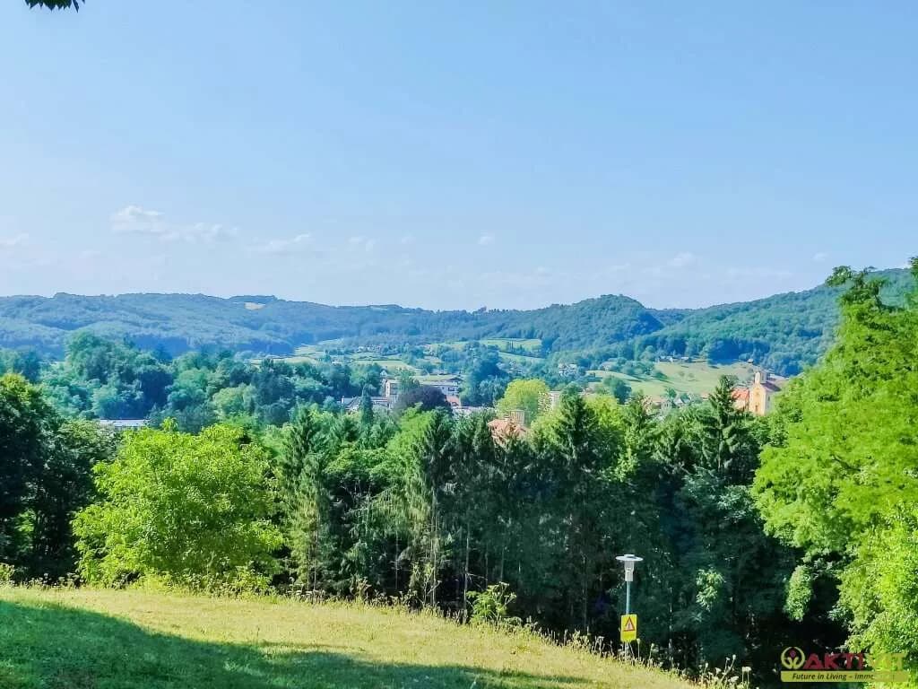 Grundstück kaufen in Südoststeiermark – 3 712 m², € 170.000 – Bild 6 von 8