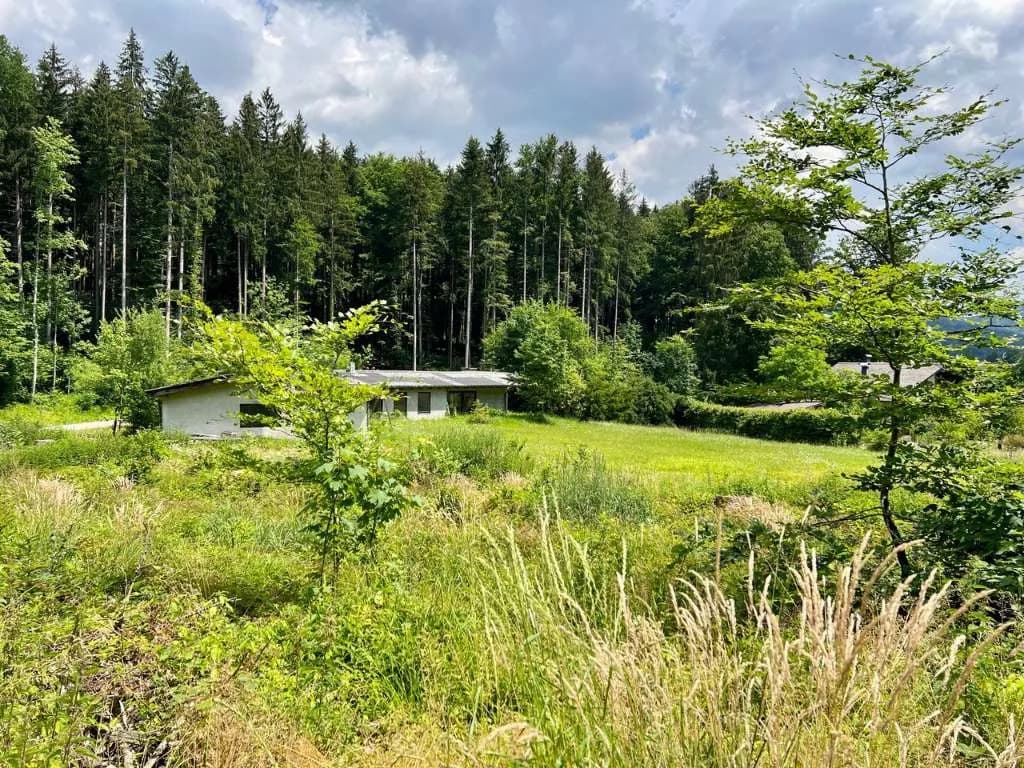 Grundstück kaufen in Vöcklabruck – 3 382 m², € 695.000 – Bild 3 von 6