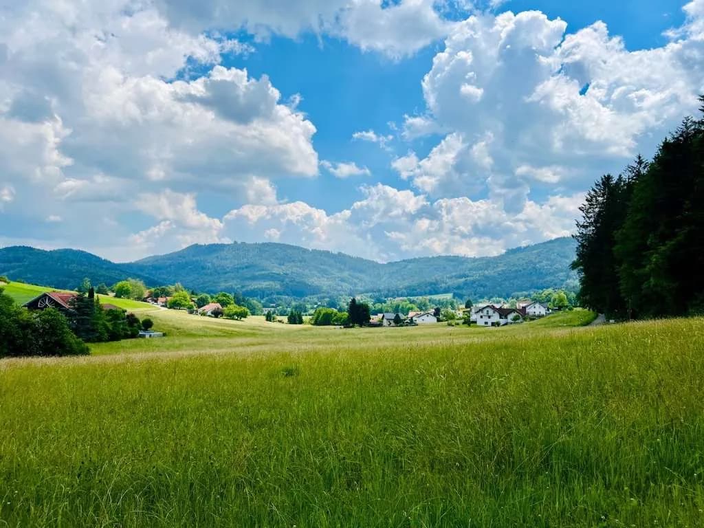 Grundstück kaufen in Vöcklabruck – 3 382 m², € 695.000 – Bild 4 von 6