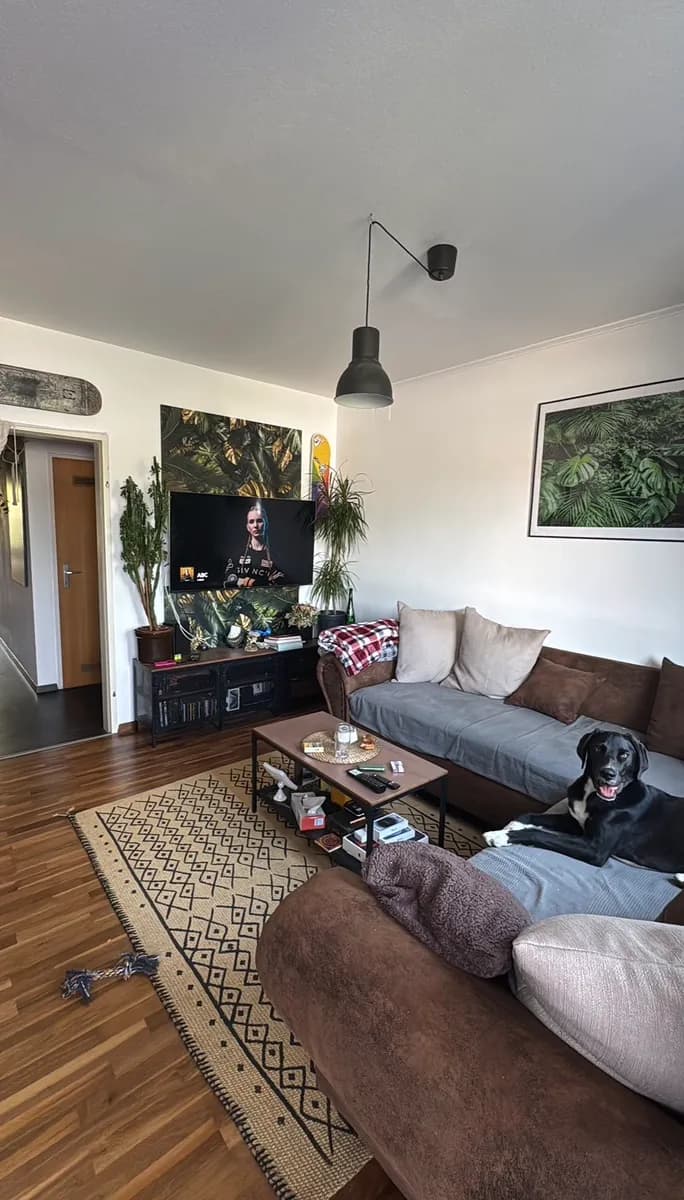 3-Zimmer-Wohnung mieten in Sankt Pölten Land – 76 m², € 526 – Bild 3 von 11