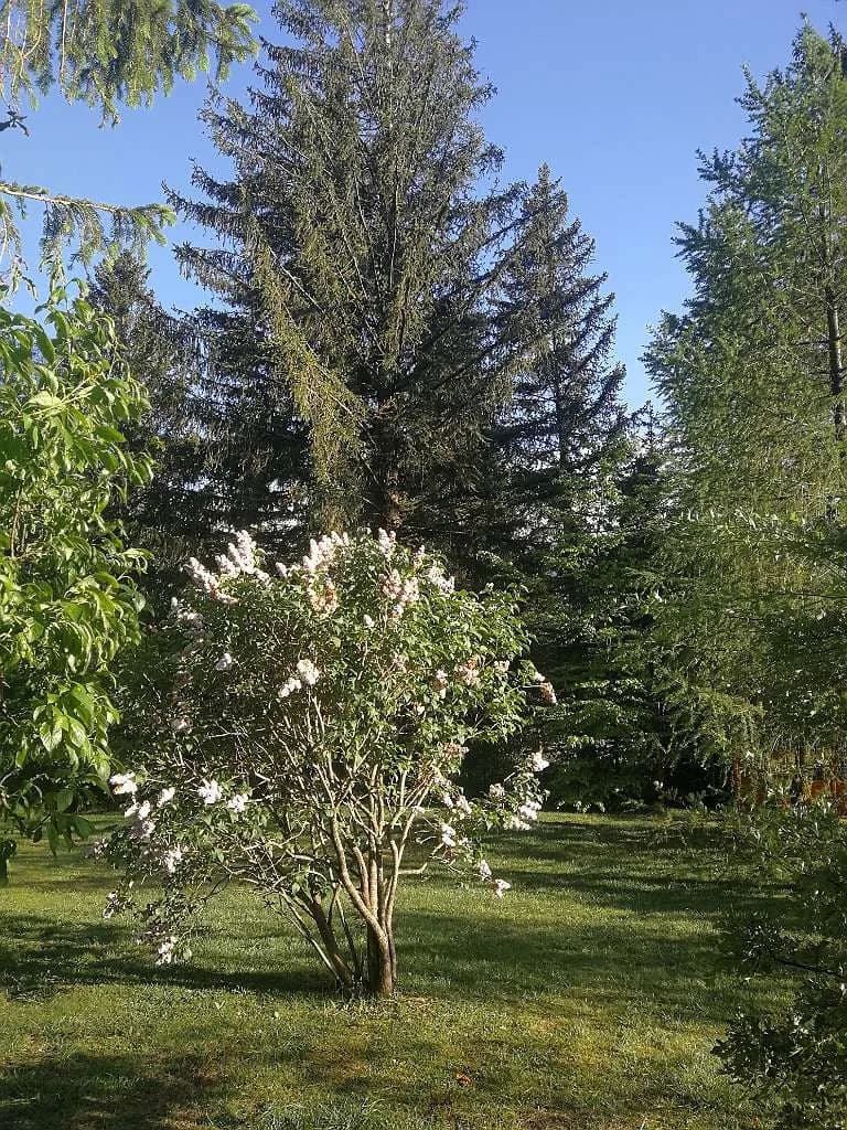 3-Zimmer-Haus mieten in Neunkirchen – 92 m², € 1.490 – Bild 4 von 52