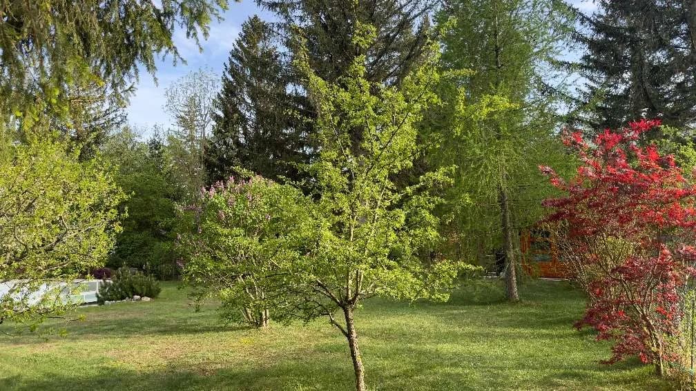 3-Zimmer-Haus mieten in Neunkirchen – 92 m², € 1.490 – Bild 7 von 52