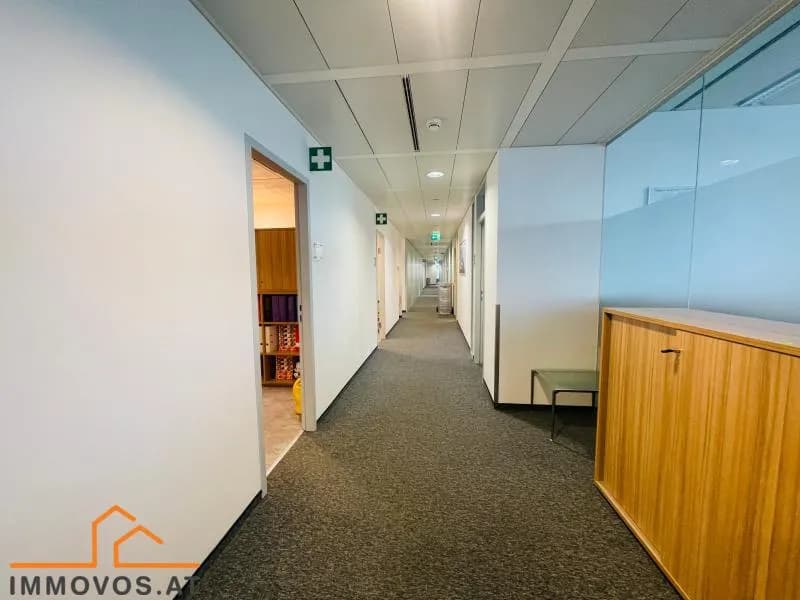6-Zimmer-Gewerbeimmobilie mieten in Wien – 253 m², € 16 – Bild 3 von 5