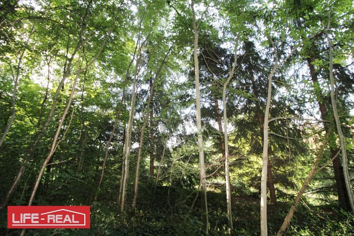Grundstück kaufen in Freistadt – 3 689 m², € 210.000 – Bild 3 von 7