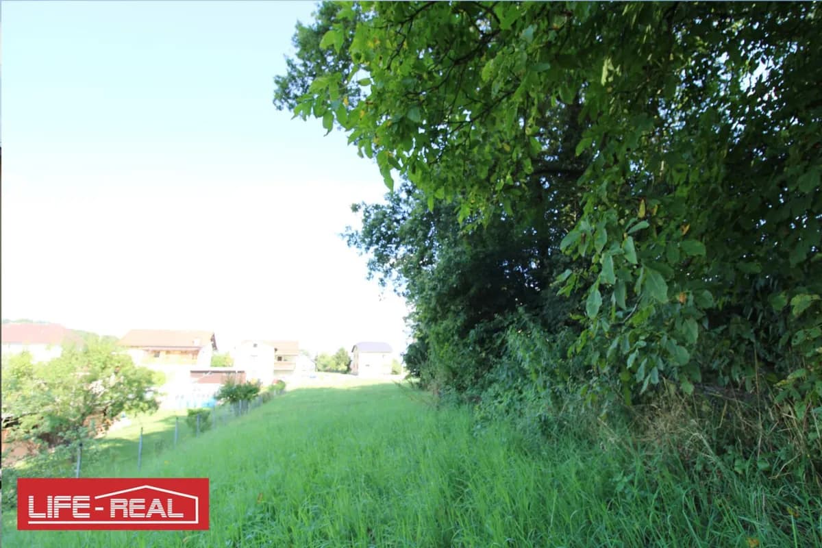 Grundstück kaufen in Freistadt – 3 689 m², € 210.000 – Bild 4 von 7