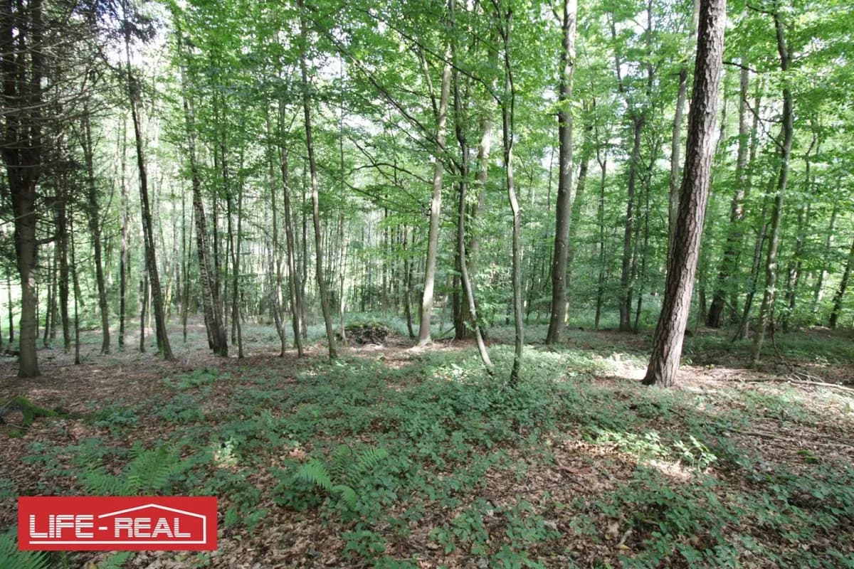 Grundstück kaufen in Linz – 27 669 m², € 221.000 – Bild 2 von 10