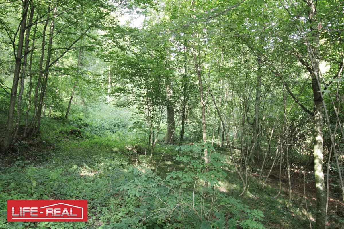 Grundstück kaufen in Linz – 27 669 m², € 221.000 – Bild 3 von 10