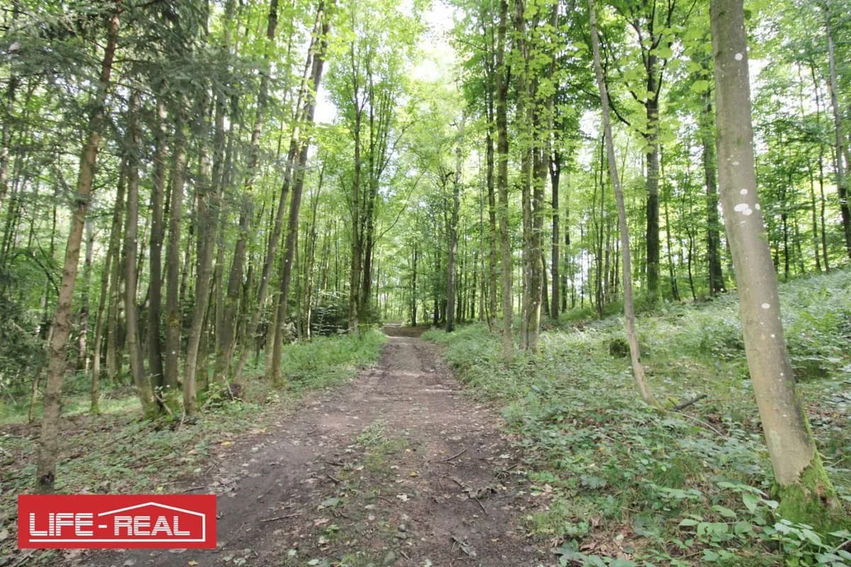 Grundstück kaufen in Linz – 27 669 m², € 221.000 – Bild 5 von 10