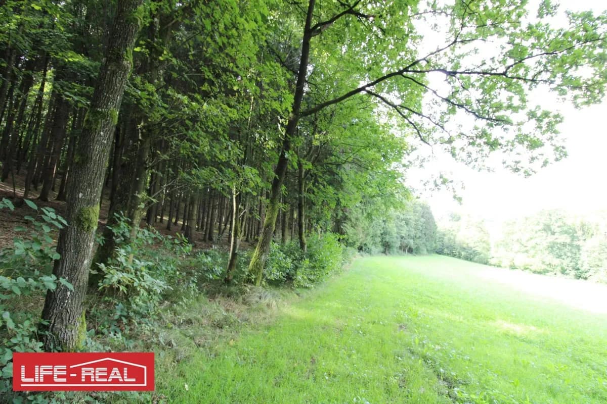 Grundstück kaufen in Linz – 27 669 m², € 221.000 – Bild 8 von 10
