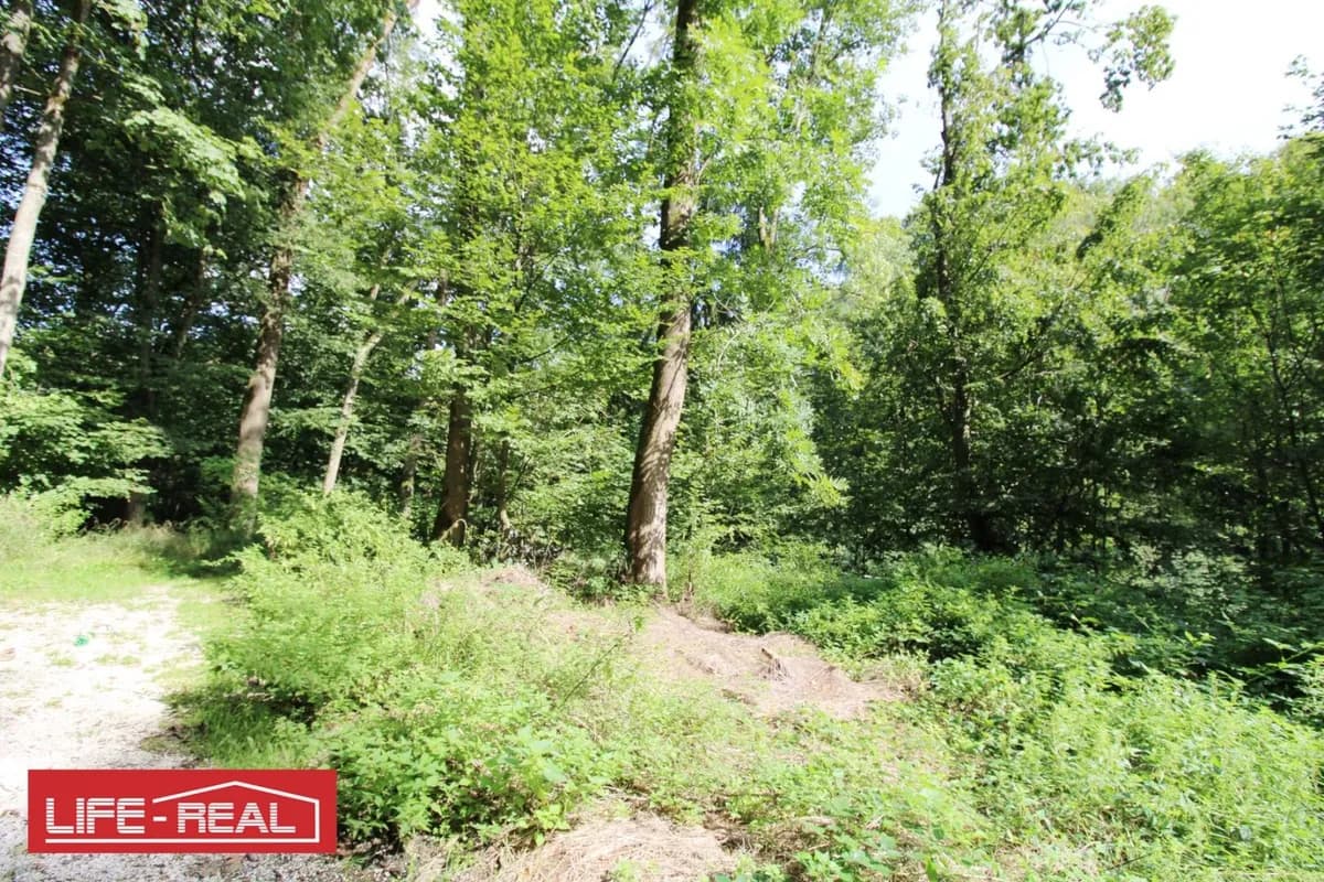 Grundstück kaufen in Linz – 27 669 m², € 221.000 – Bild 9 von 10