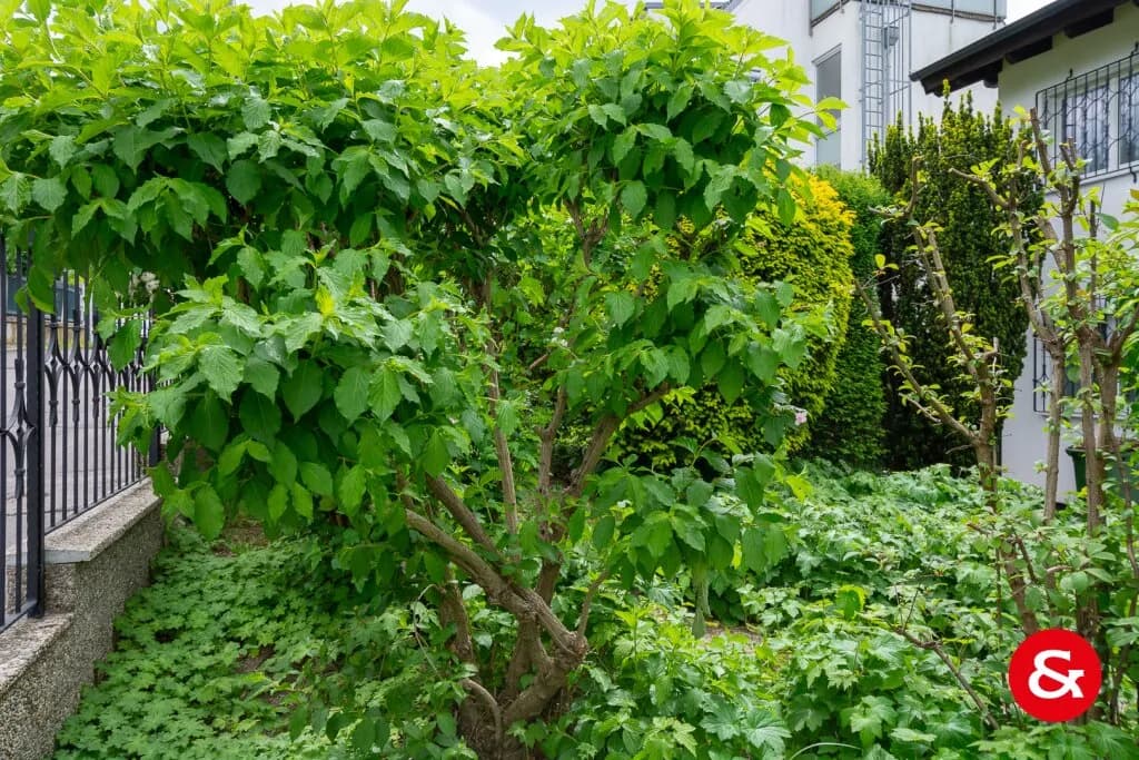 Haus mieten in Wien – 147 m², € 2.090 – Bild 2 von 29