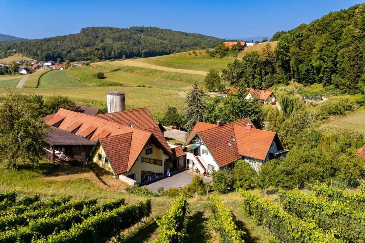 Haus kaufen in Leibnitz – 600 m², € 685.000