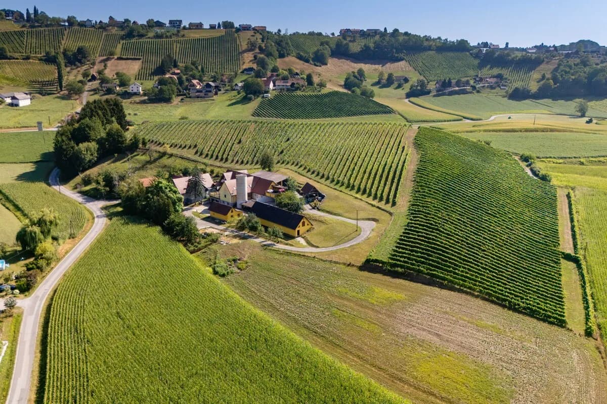 Haus kaufen in Leibnitz – 600 m², € 685.000 – Bild 2 von 75