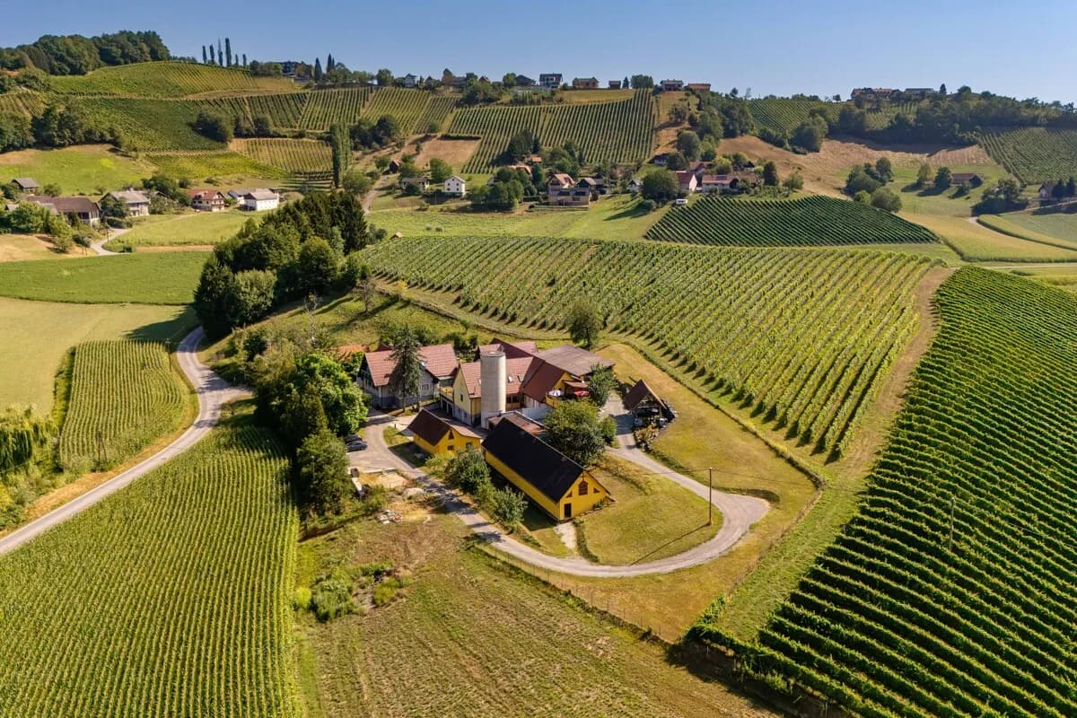 Haus kaufen in Leibnitz – 600 m², € 685.000 – Bild 42 von 75