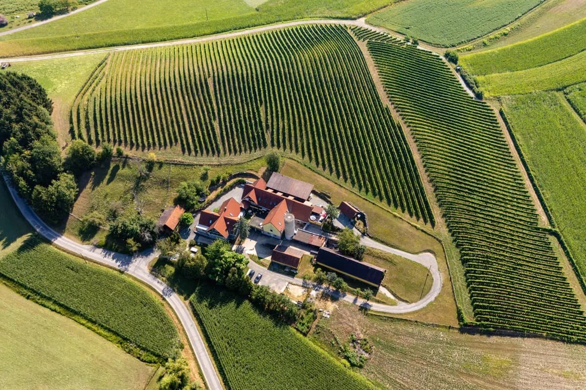 Haus kaufen in Leibnitz – 600 m², € 685.000 – Bild 48 von 75