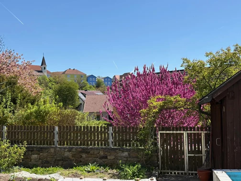 Immobilie kaufen in Melk – 404 m², € 399.000 – Bild 3 von 20