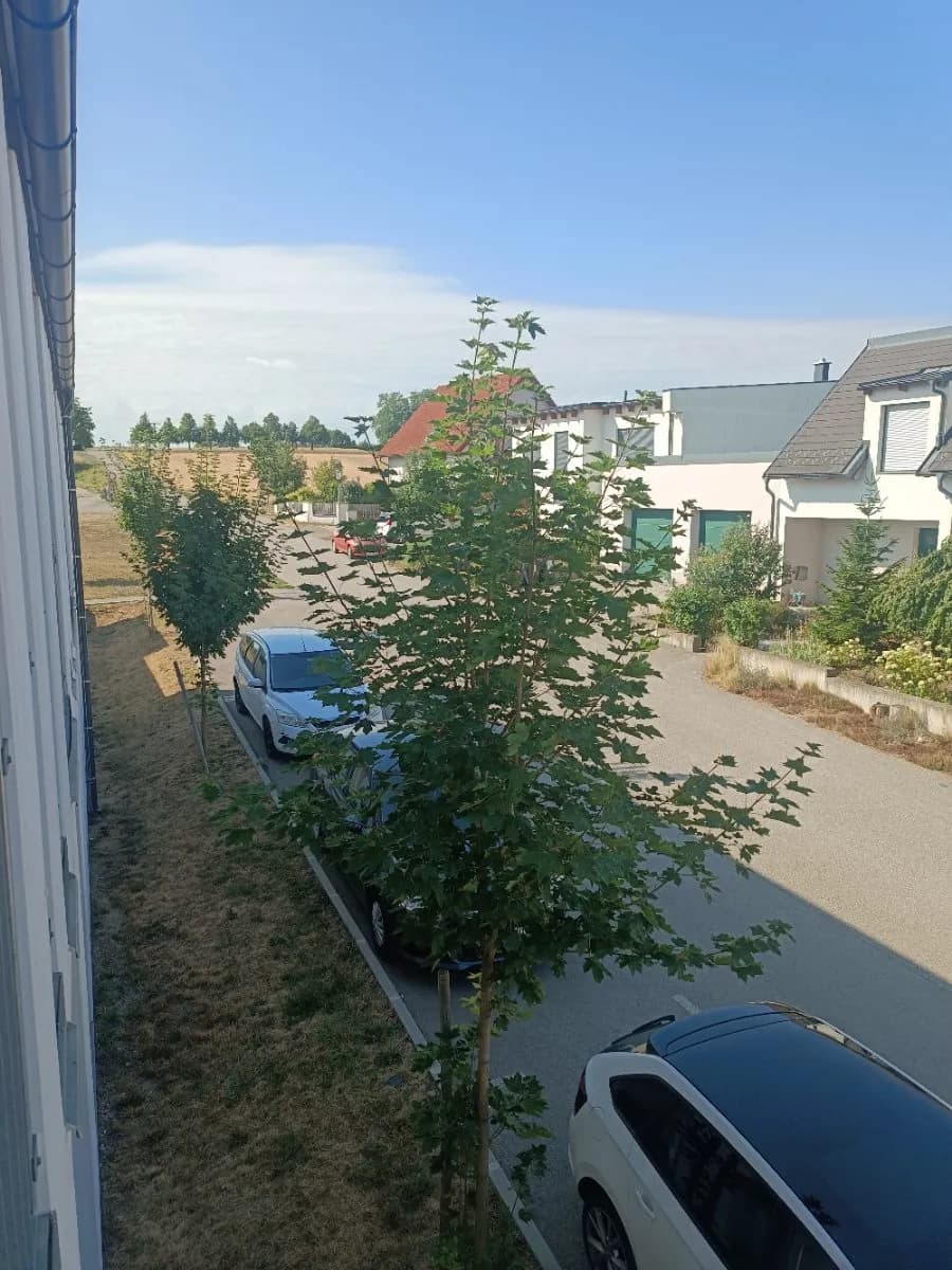 2-Zimmer-Wohnung mieten in Hollabrunn – 54 m², € 588 – Bild 4 von 22