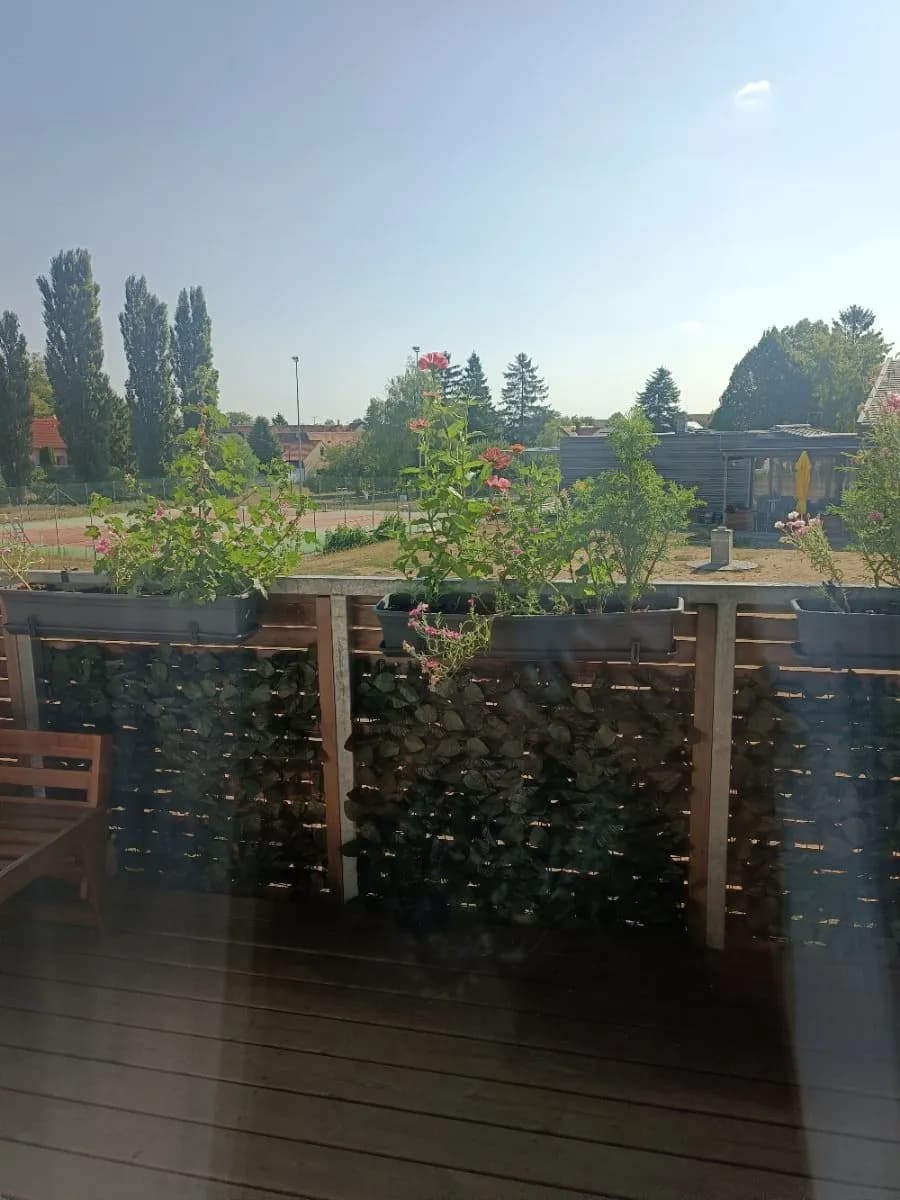 2-Zimmer-Wohnung mieten in Hollabrunn – 54 m², € 588 – Bild 22 von 22