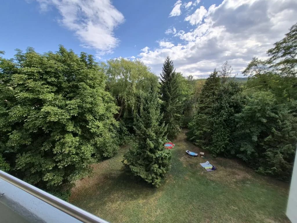 1-Zimmer-Wohnung mieten in Mödling – 30 m², € 554 – Bild 2 von 10