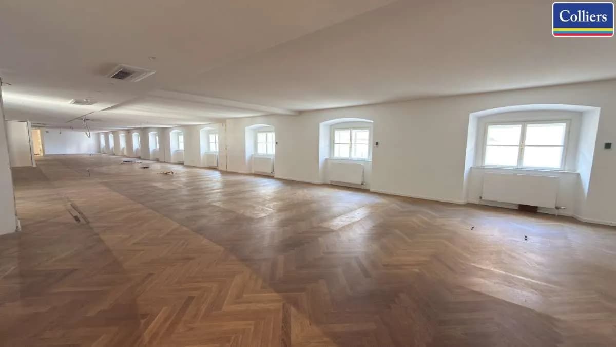 13-Zimmer-Gewerbeimmobilie mieten in Wien – 1 039 m², € 28.565 – Bild 10 von 18