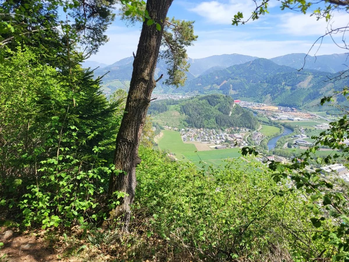 3-Zimmer-Wohnung kaufen in Leoben – 74 m², € 135.000 – Bild 17 von 17