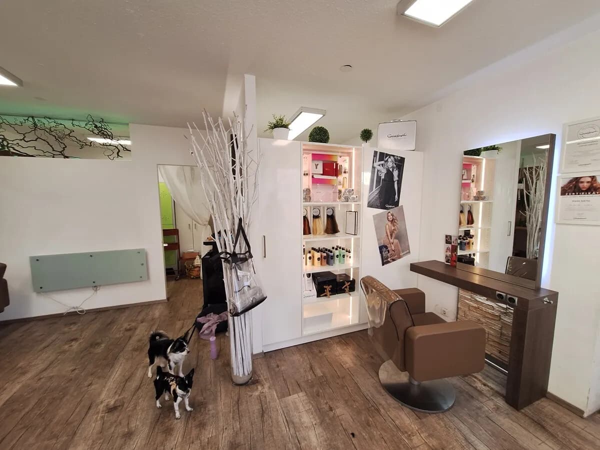 Gewerbeimmobilie mieten in Vöcklabruck – 34 m², € 575 – Bild 2 von 5