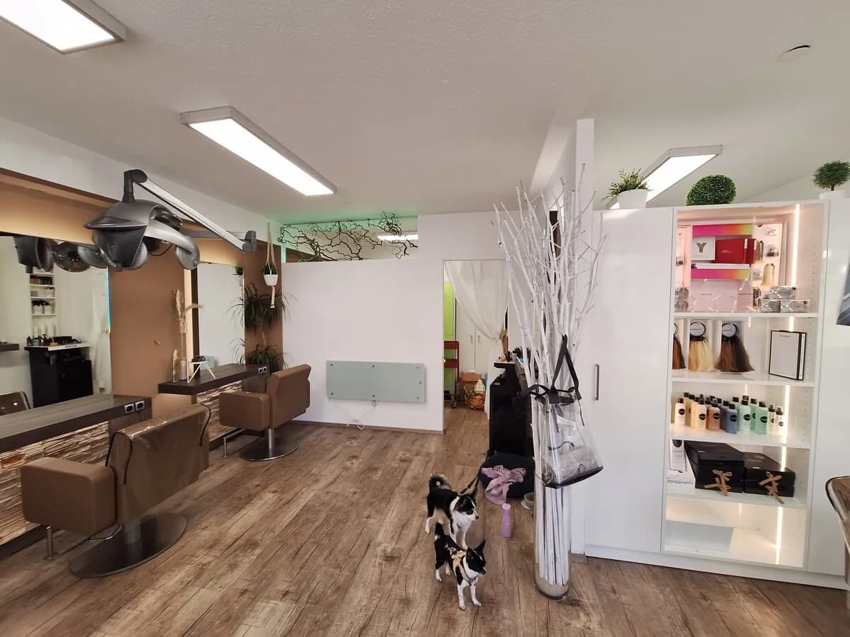 Gewerbeimmobilie mieten in Vöcklabruck – 34 m², € 575 – Bild 5 von 5
