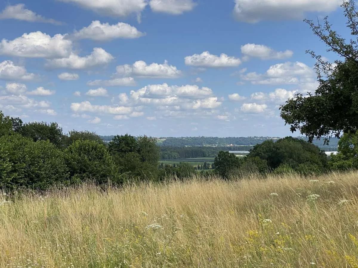 Grundstück kaufen in Hartberg-Fürstenfeld – 4 027 m²
