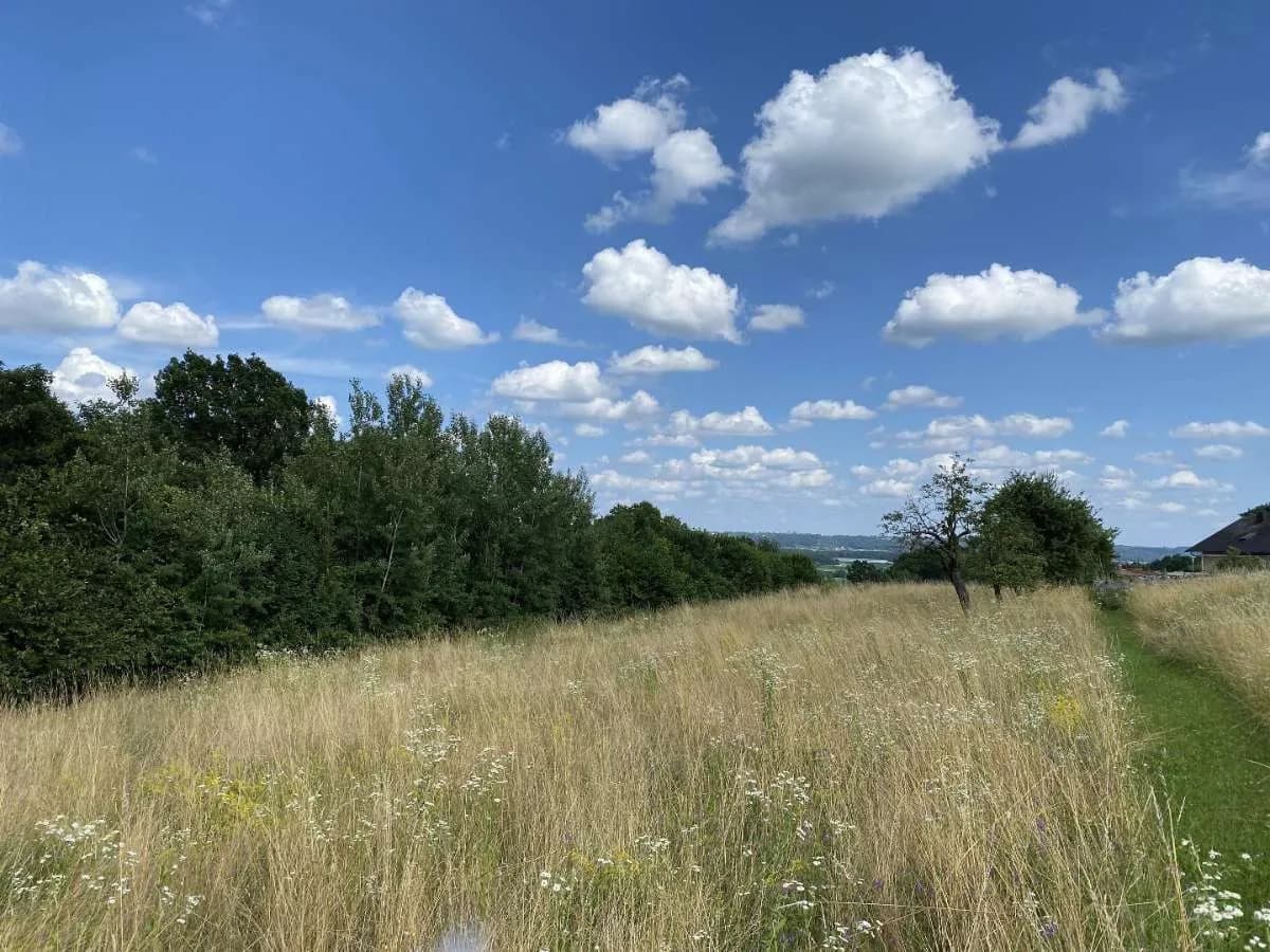 Grundstück kaufen in Hartberg-Fürstenfeld – 4 027 m² – Bild 2 von 4