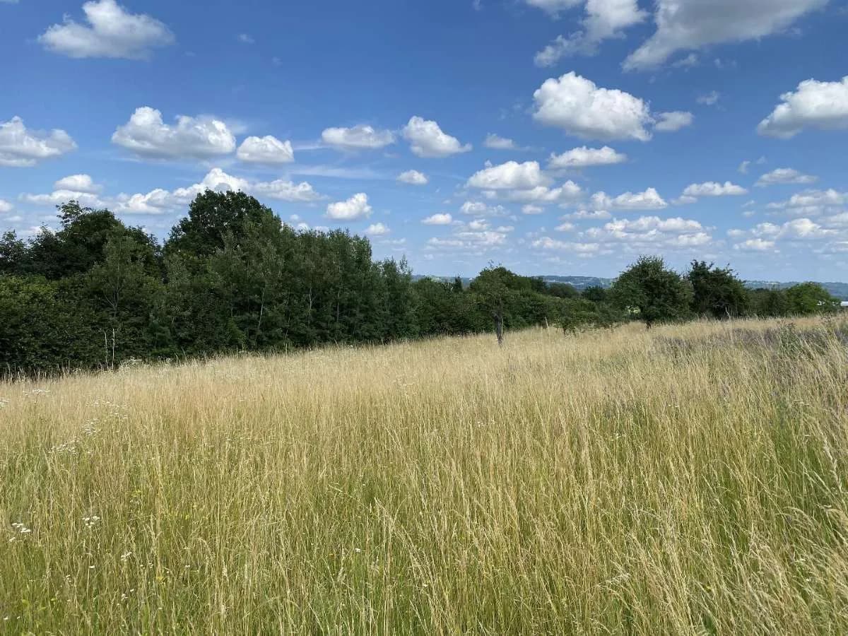Grundstück kaufen in Hartberg-Fürstenfeld – 4 027 m² – Bild 3 von 4