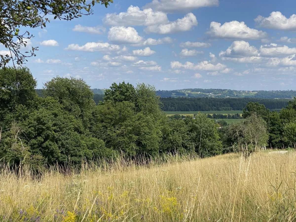 Grundstück kaufen in Hartberg-Fürstenfeld – 4 027 m² – Bild 4 von 4