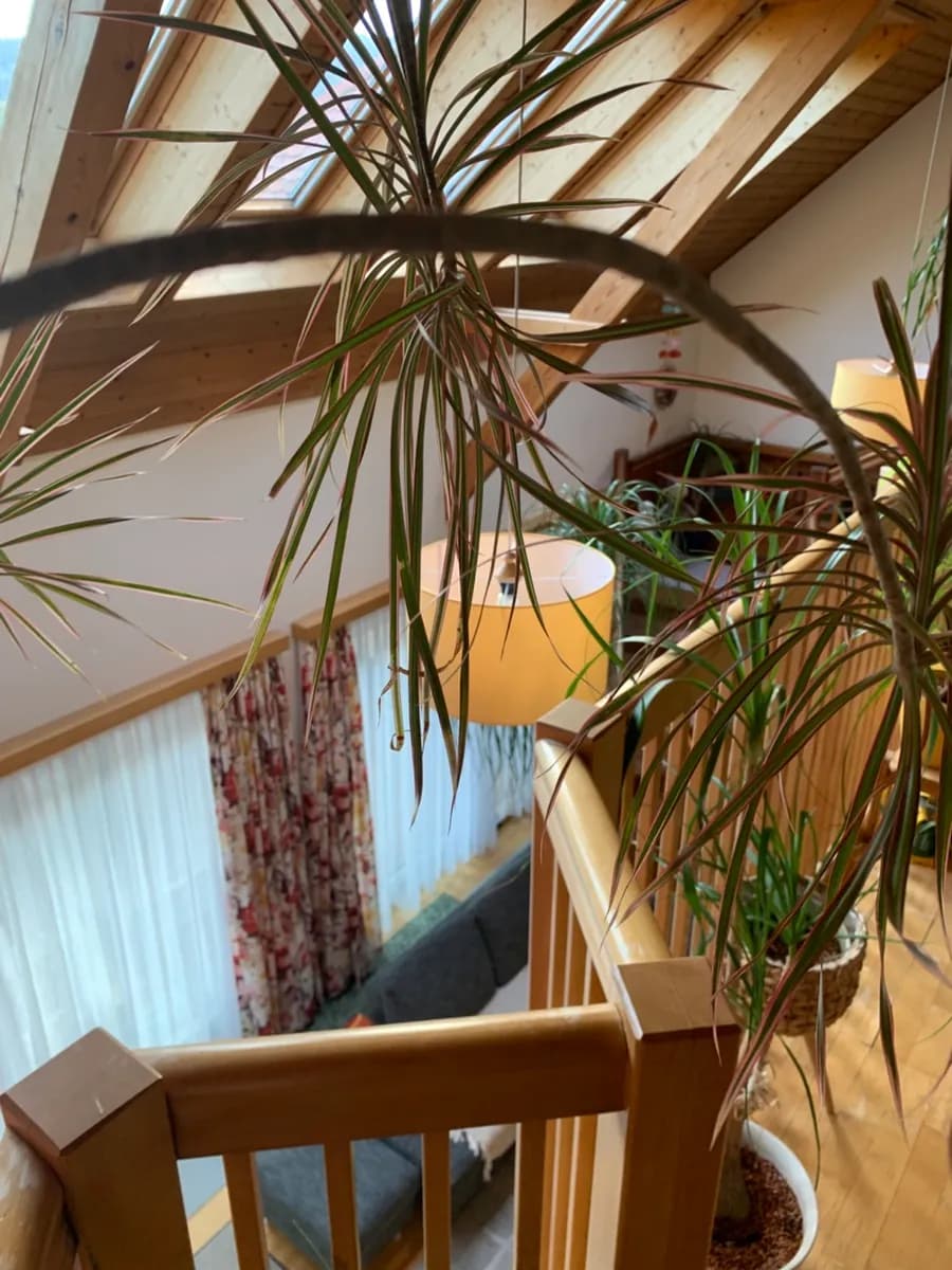 4-Zimmer-Wohnung kaufen in Deutschlandsberg – 237 m², € 495.000 – Bild 6 von 23
