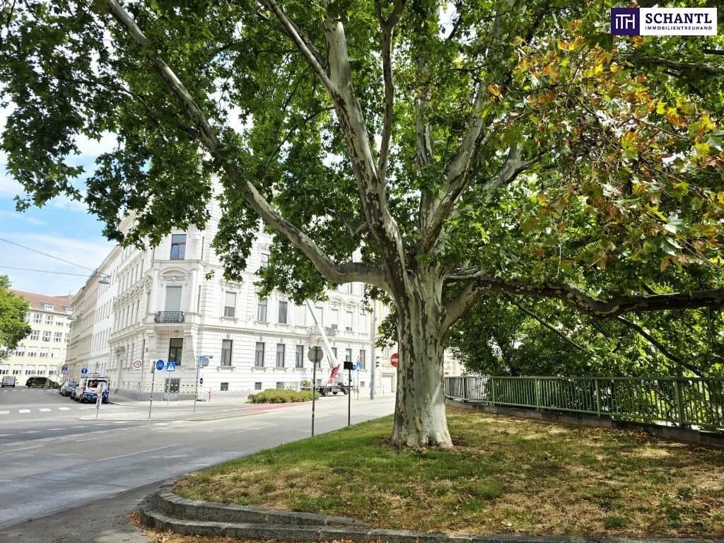 4-Zimmer-Wohnung mieten in Wien – 134 m², € 1.877 – Bild 11 von 28