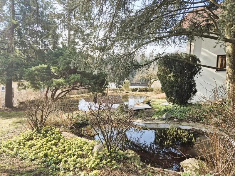 4-Zimmer-Haus mieten in Linz – 142,18 m², € 1.950 – Bild 7 von 30