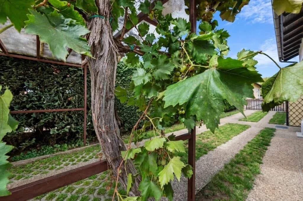 3-Zimmer-Haus kaufen in Oberpullendorf – 107 m², € 178.700 – Bild 36 von 38