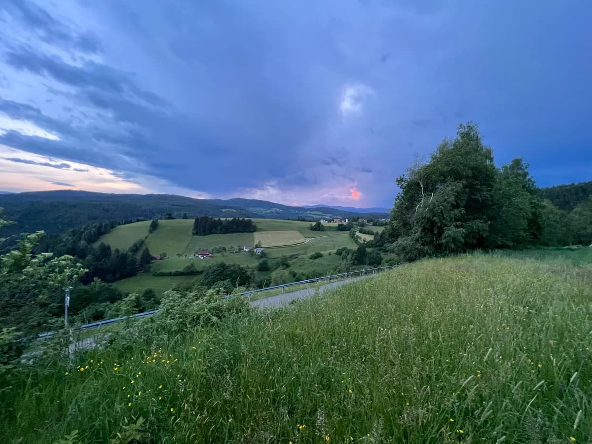 Grundstück kaufen in Sankt Veit an der Glan – 119 000 m² – Bild 3 von 5