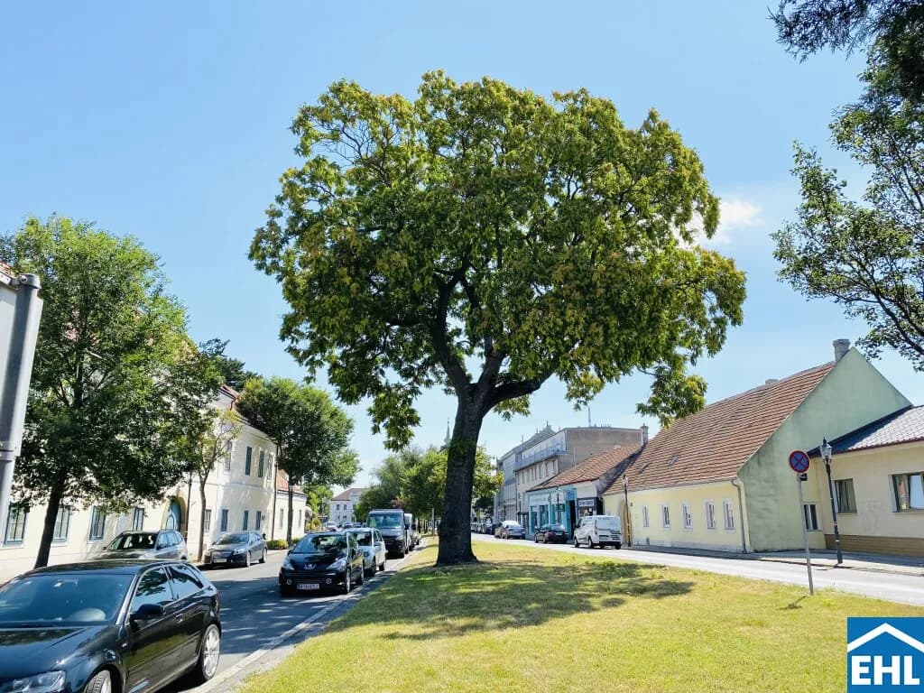 2-Zimmer-Wohnung mieten in Wien – 46,34 m², € 899 – Bild 13 von 16