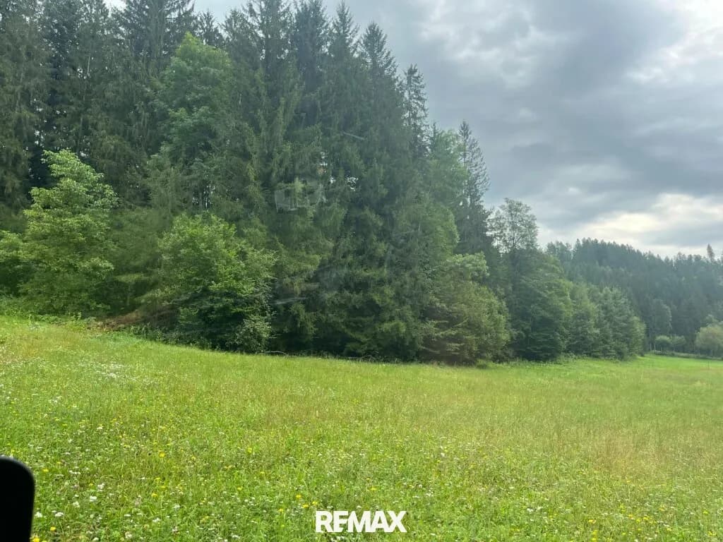 3-Zimmer-Grundstück kaufen in Weiz – 20 460 m², € 119.000 – Bild 2 von 19