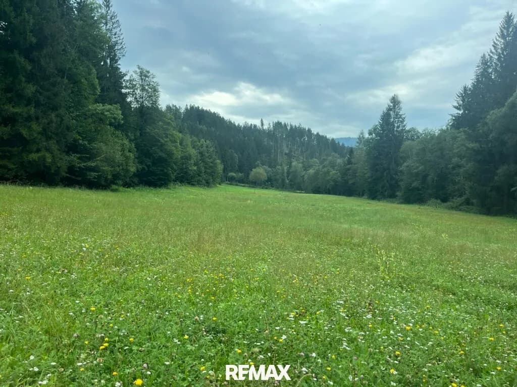 3-Zimmer-Grundstück kaufen in Weiz – 20 460 m², € 119.000 – Bild 3 von 19